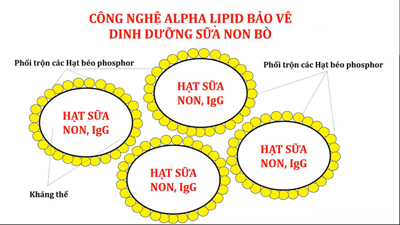 Công nghệ Alpha Lipid